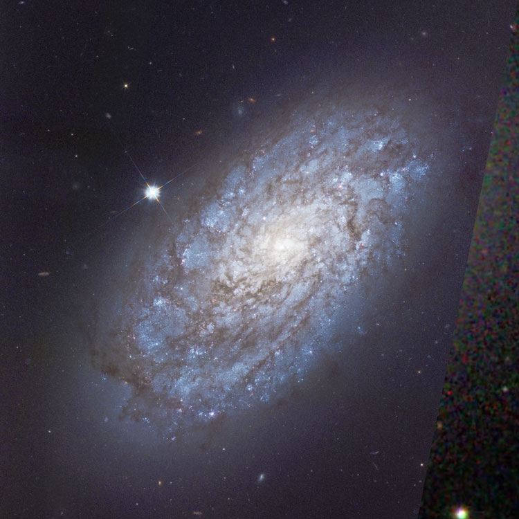 HST image of spiral galaxy NGC 4298
