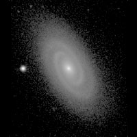de Vaucouleurs Atlas of Galaxies image of page for NGC 4305