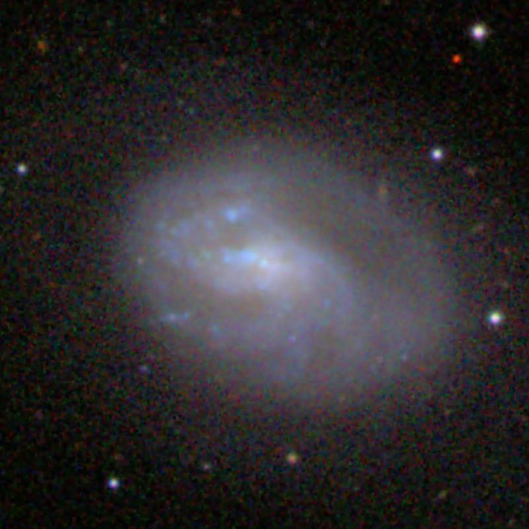 SDSS image of spiral galaxy NGC 4351
