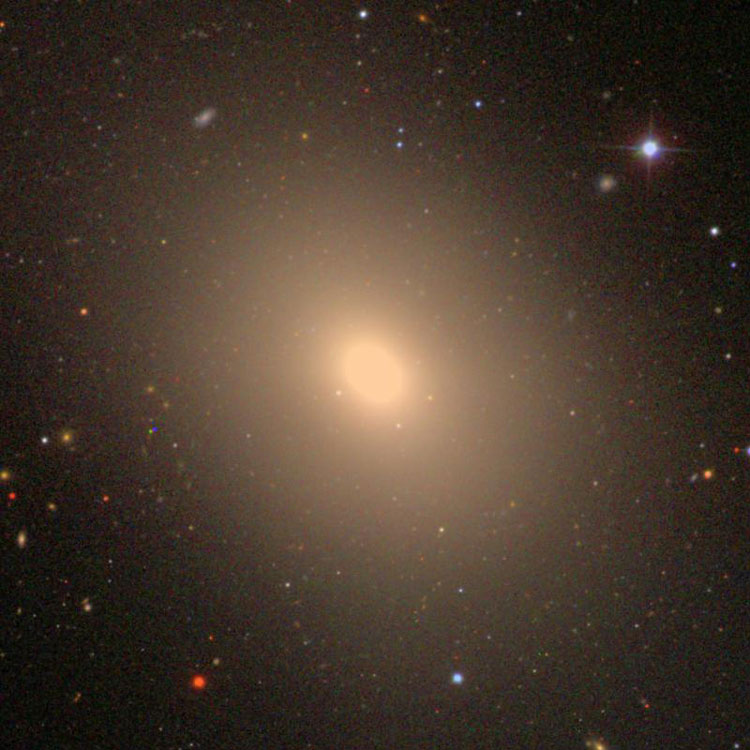 SDSS image of elliptical galaxy NGC 4365
