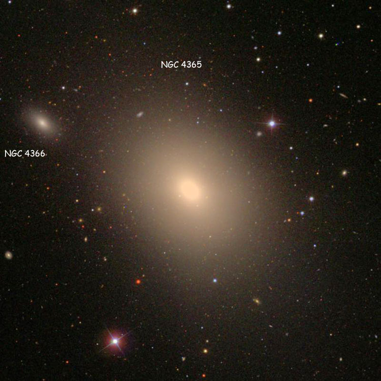 SDSS image of region near elliptical galaxy NGC 4365, also showing elliptical galaxy NGC 4366