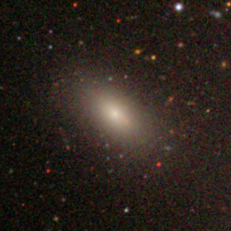 SDSS image of elliptical galaxy NGC 4366