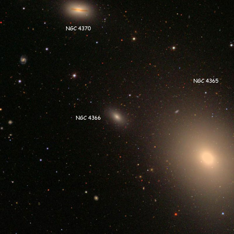 SDSS image of region near elliptical galaxy NGC 4366, also showing elliptical galaxy NGC 4365 and spiral galaxy NGC 4370