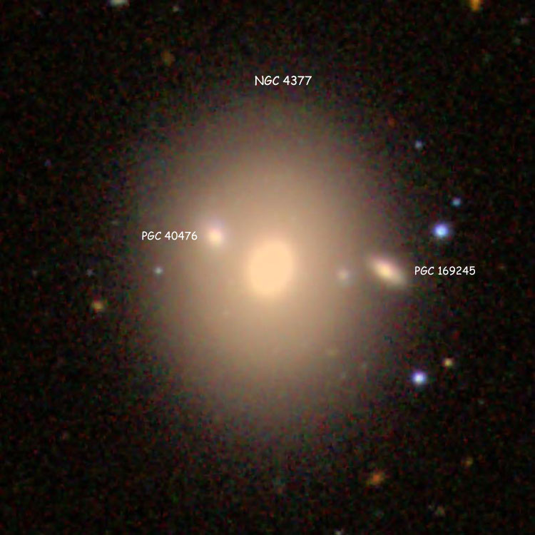 SDSS labeled image of lenticular galaxy NGC 4377, also showing compact galaxies PGC 169245 and 40476