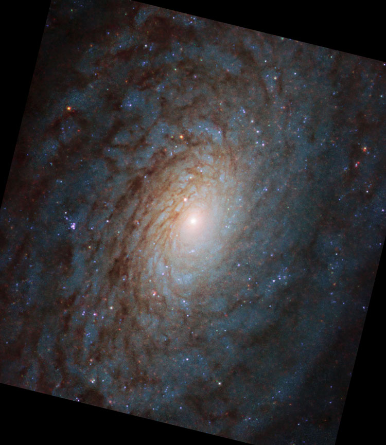 HST image of core of spiral galaxy NGC 4380
