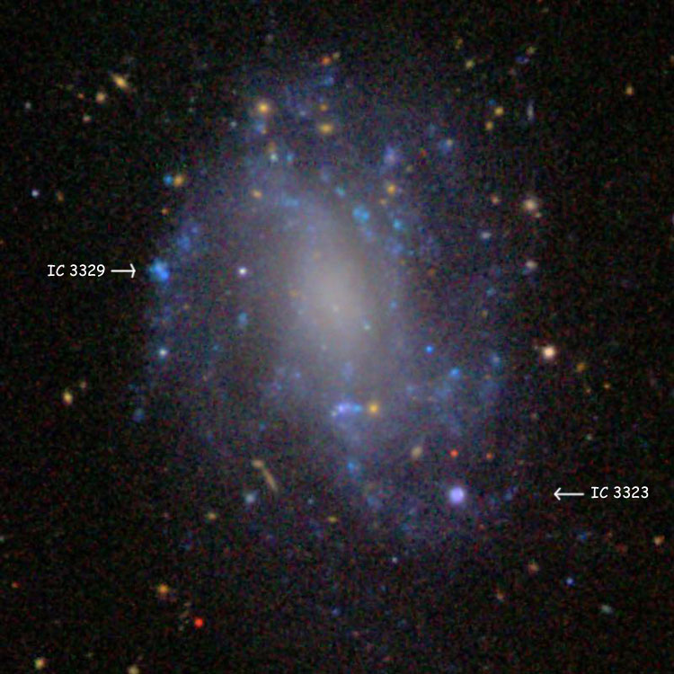 SDSS image of spiral galaxy NGC 4393, also showing the star listed as IC 3323 and the star-forming region listed as IC 3329