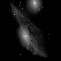 de Vaucouleurs Atlas of Galaxies image of NGC 4438