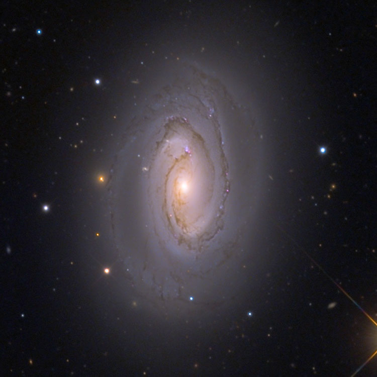 Caelum Observatory image of spiral galaxy NGC 4450