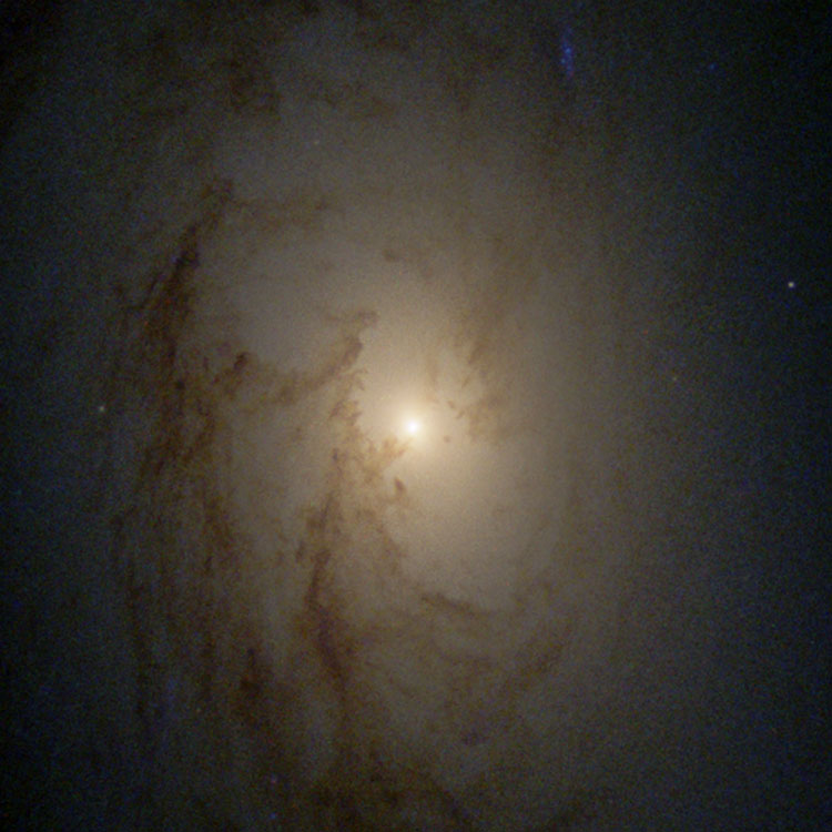 HST image of core of spiral galaxy NGC 4450