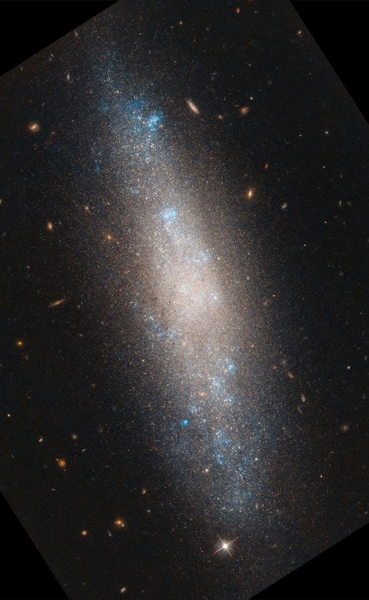 HST image of spiral galaxy NGC 4455