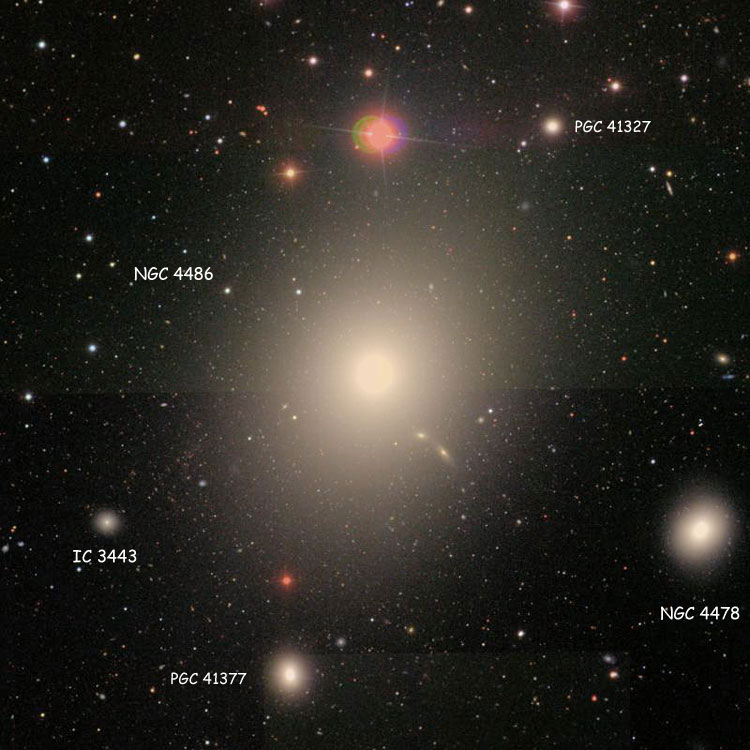 SDSS photomosaic of region near elliptical galaxy NGC 4486, also known as M87; also shown are NGC 4478, IC 3443, PGC 41377 (also known as NGC 4486A) and PGC 41327 (also known as NGC 4486B)