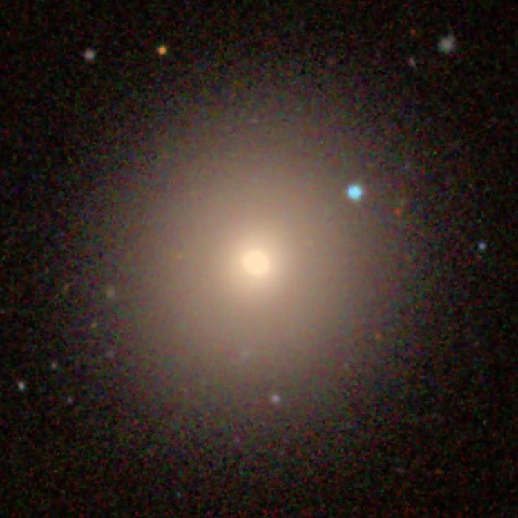 SDSS image of elliptical galaxy NGC 4489