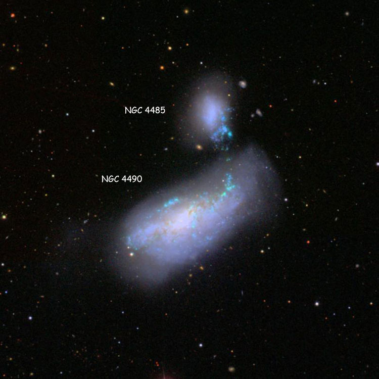 SDSS image of region near spiral galaxy NGC 4490 and NGC 4485, which comprise Arp 269