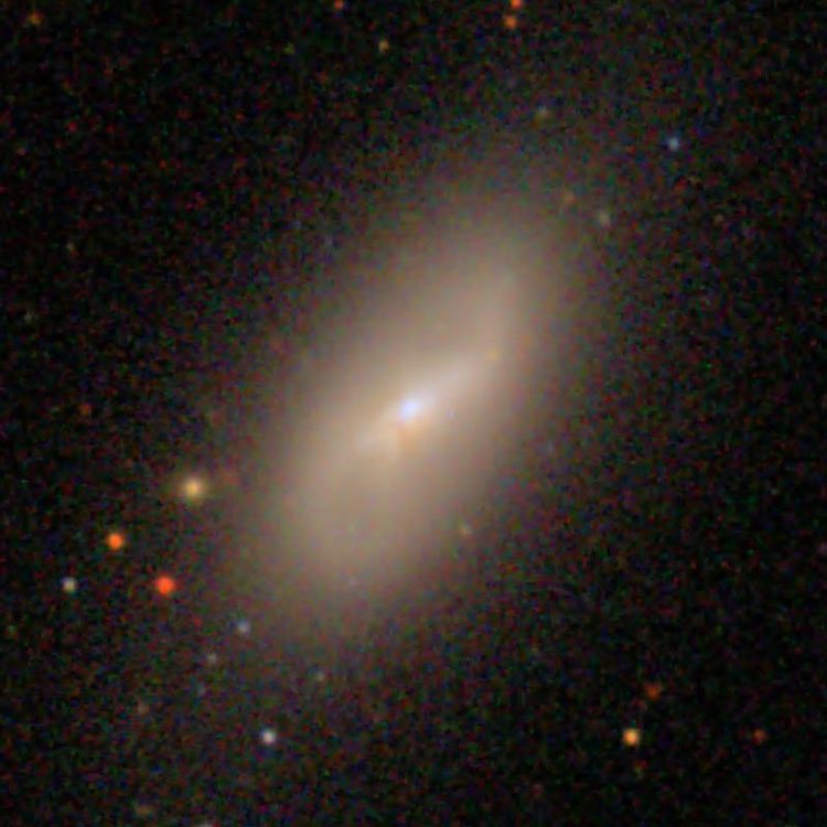 SDSS image of spiral galaxy NGC 4491