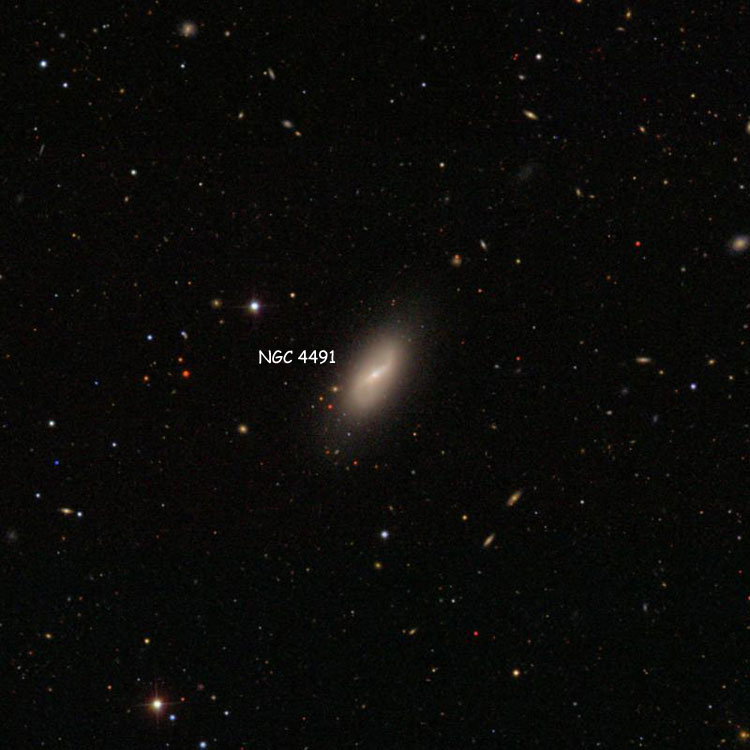 SDSS image of region near spiral galaxy NGC 4491