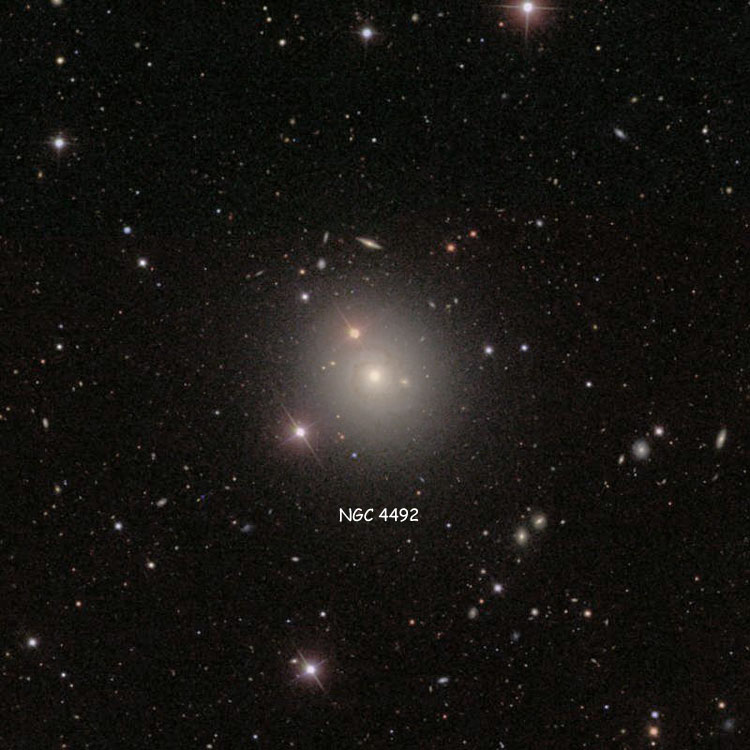 SDSS image of region near spiral galaxy NGC 4492