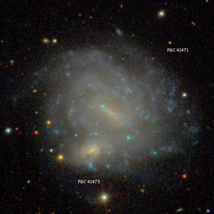 SDSS image of irregular galaxy PGC 41471 (often called NGC 4496A) and spiral galaxy PGC 41473 (often called NGC 4496B), which comprise the optical double NGC 4496