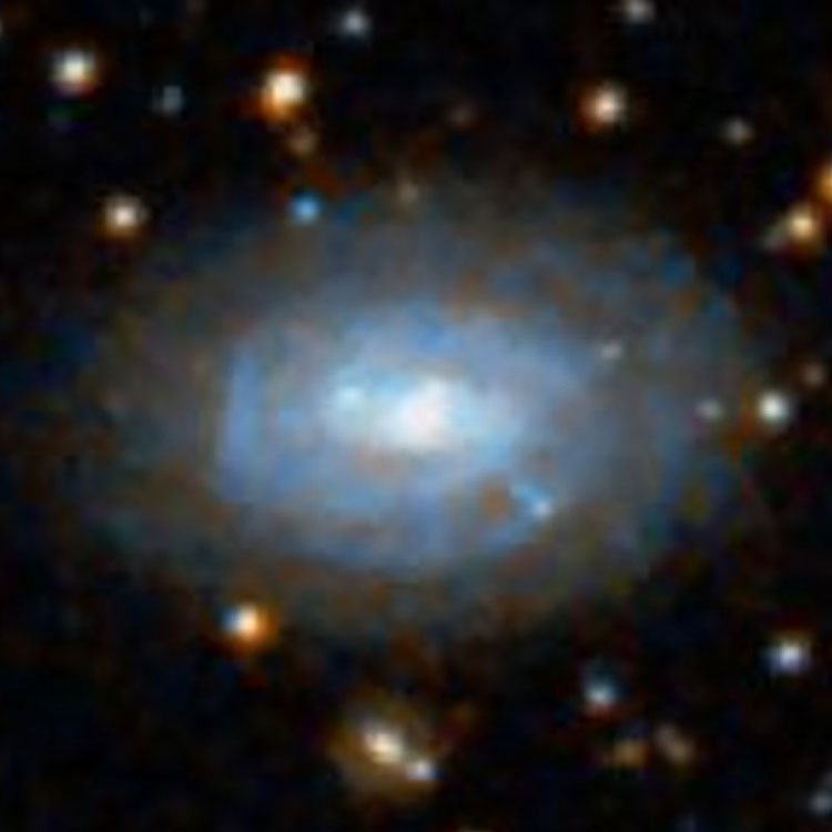 DSS image of spiral galaxy NGC 4499