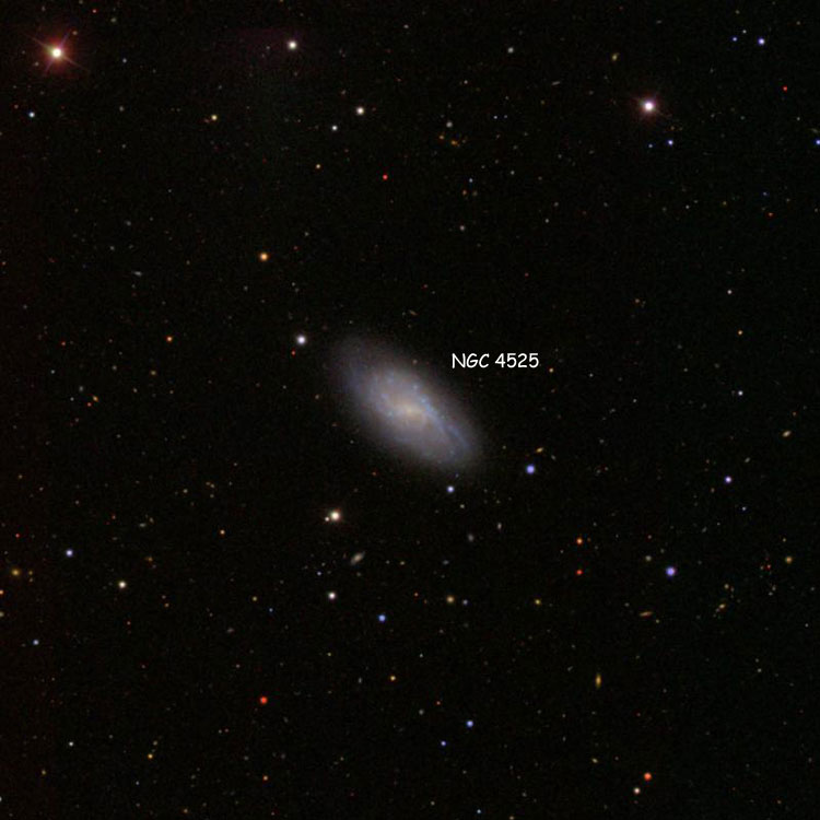 SDSS image of region near spiral galaxy NGC 4525