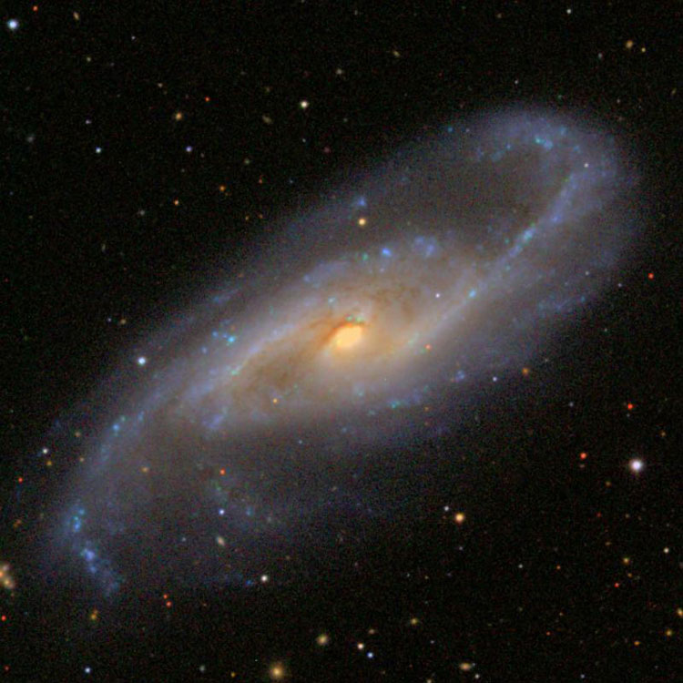SDSS image of spiral galaxy NGC 4536