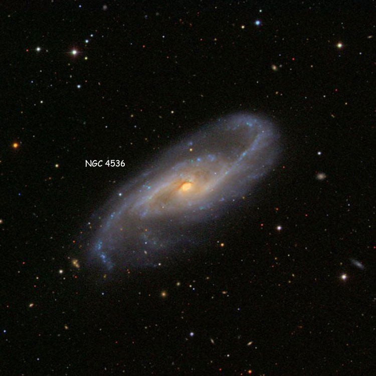 SDSS image of region near spiral galaxy NGC 4536