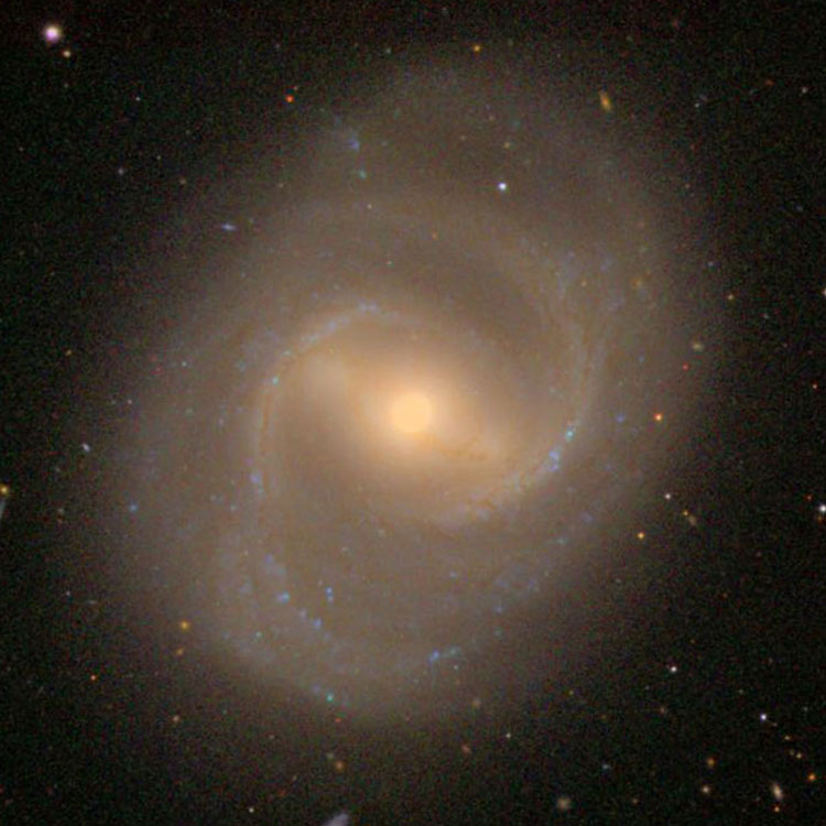 SDSS image of spiral galaxy NGC 4548, also known as M91