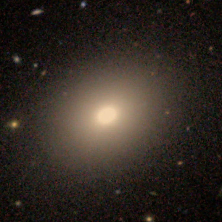 SDSS image of elliptical galaxy NGC 4555