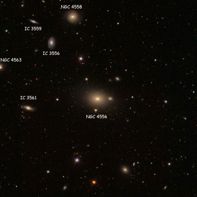 SDSS image of region near elliptical galaxy NGC 4556, also showing (several other galaxies, usually misidentified; need correct IDs)
