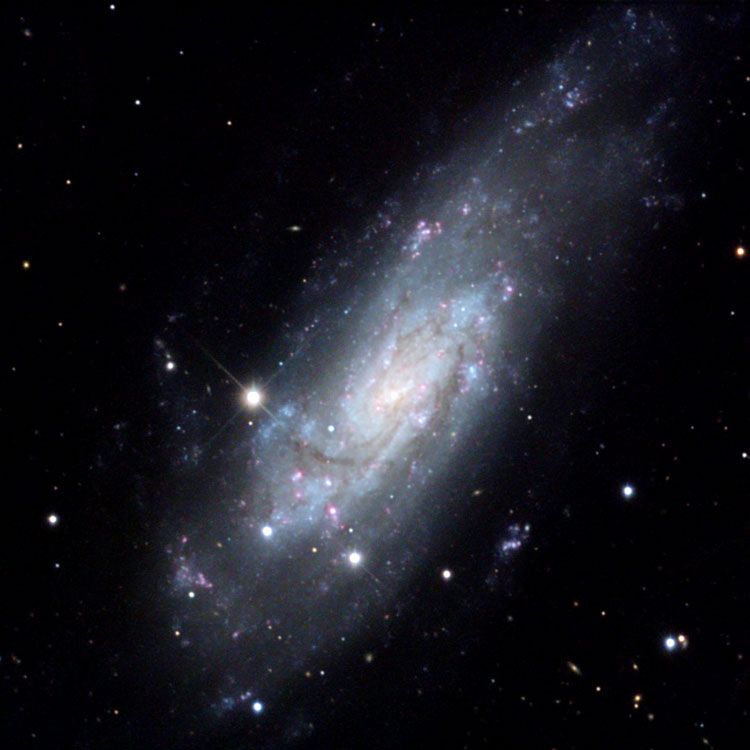 NOAO image of spiral galaxy NGC 4559
