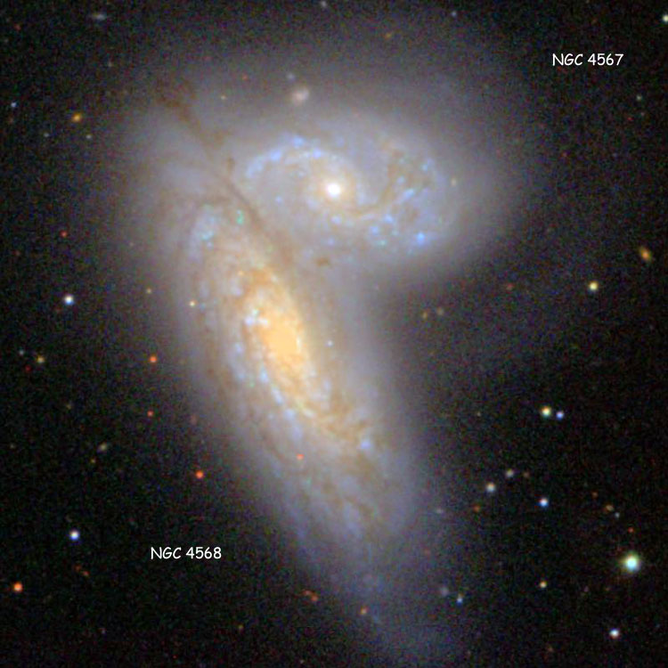 SDSS image of spiral galaxies NGC 4567 and 4568, the Siamese Twins
