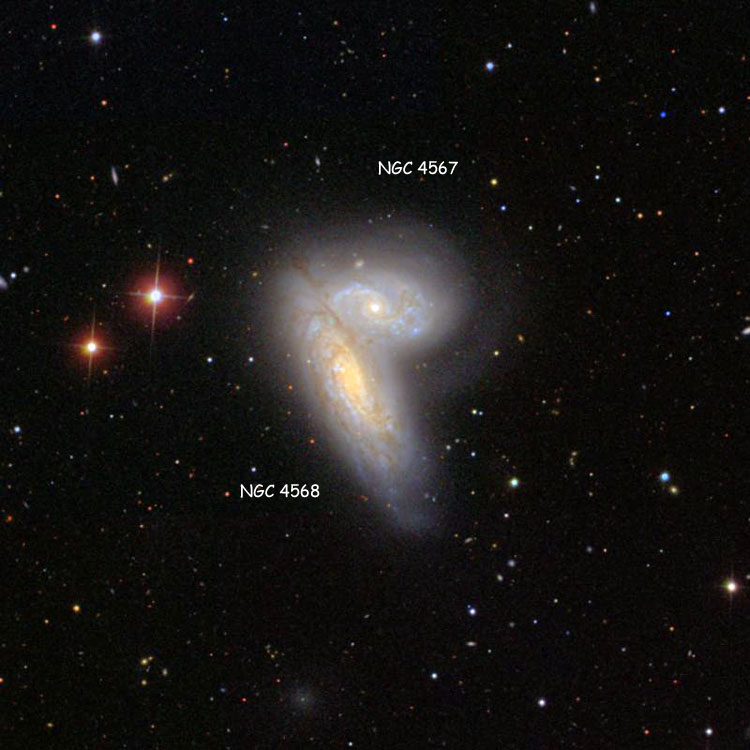 SDSS image of region near spiral galaxies NGC 4567 and 4568, the Siamese Twins