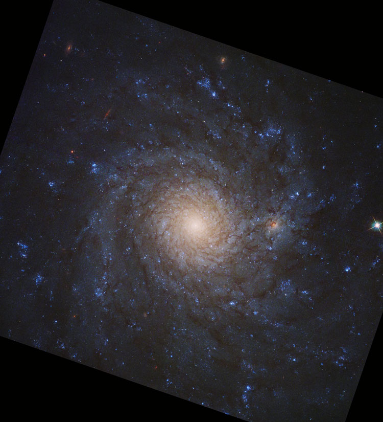 PHANGS-HST image of spiral galaxy NGC 4571, also listed as IC 3588; image processing by Judy Schmidt (geckzilla)