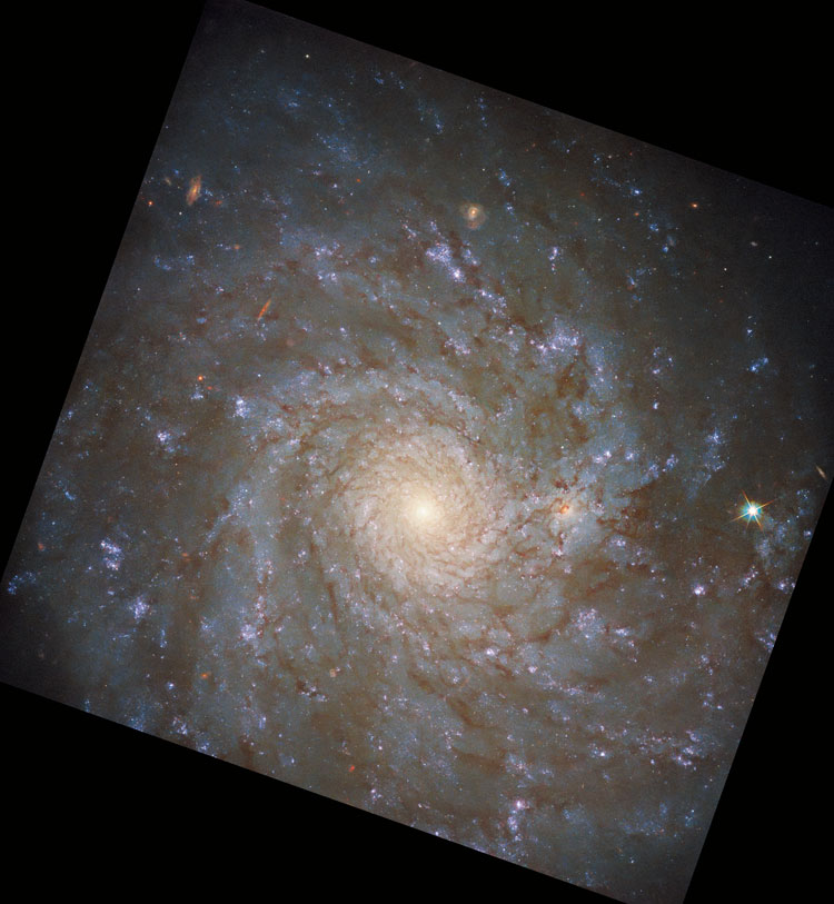 HST image of spiral galaxy NGC 4571, also listed as IC 3588