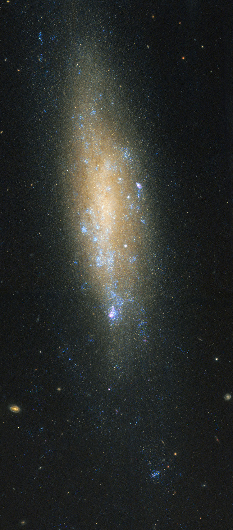 HST image of spiral galaxy NGC 4592