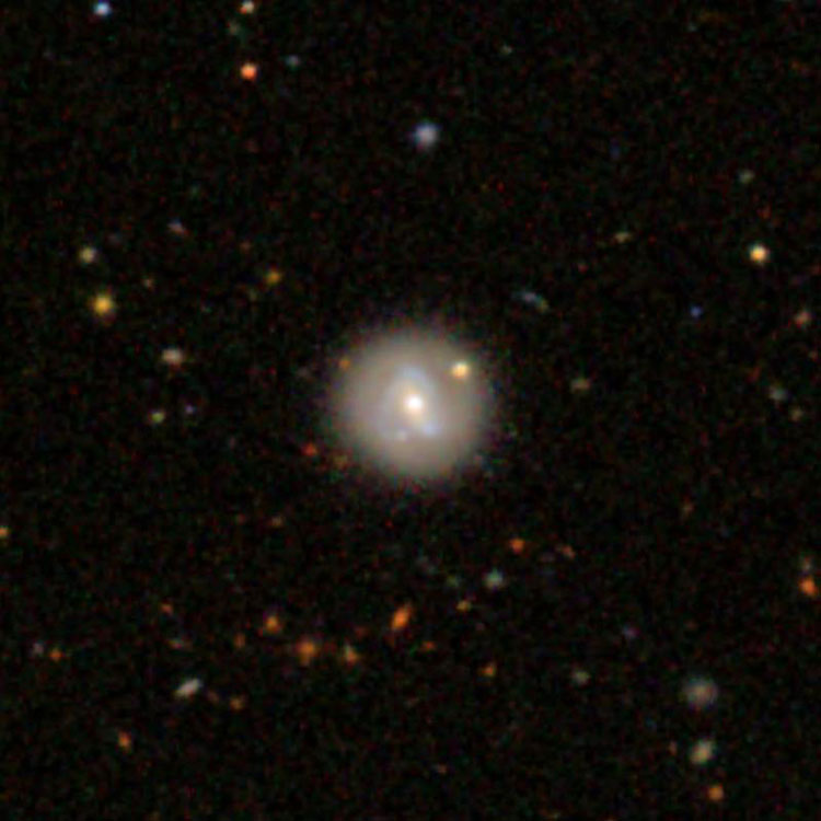 SDSS image of NGC 4613