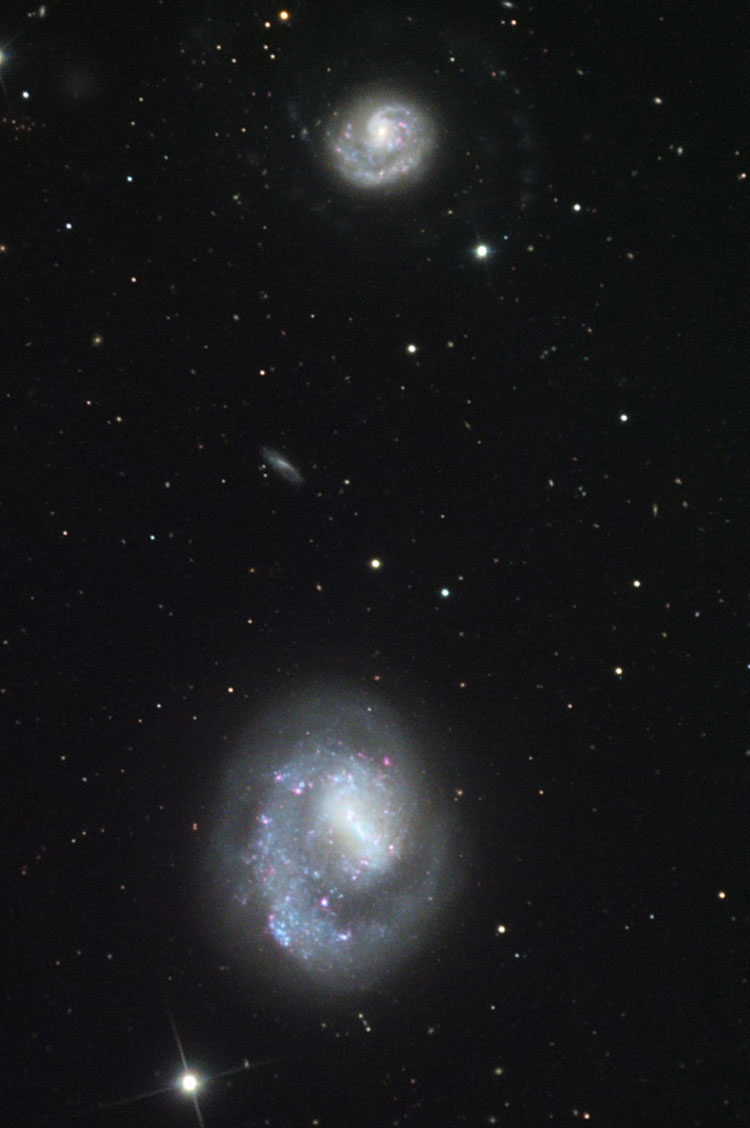 NOAO image of spiral galaxy NGC 4618, also known as Arp 23, and NGC 4625