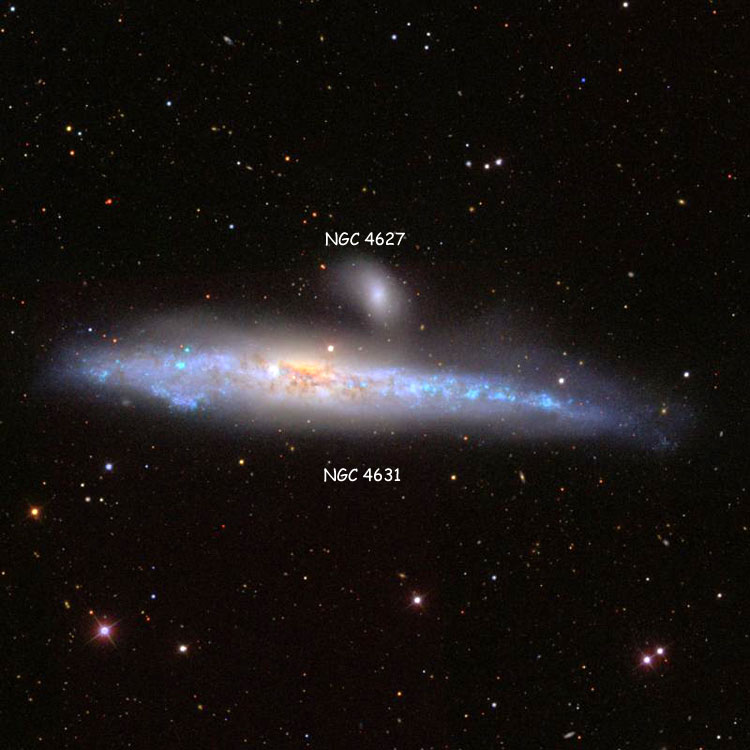 SDSS image of NGC 4631 and 4627