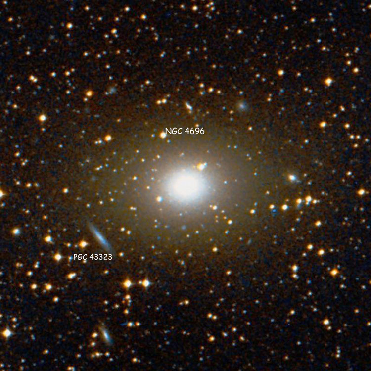 ? image of region near elliptical galaxy NGC 4696, also showing PGC 43323