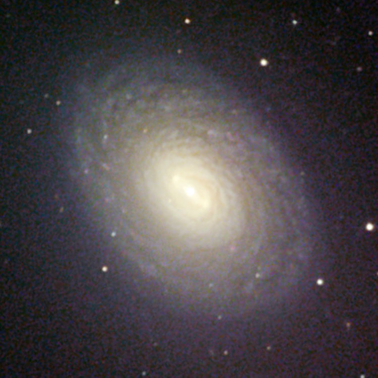 NOAO image of spiral galaxy NGC 4699