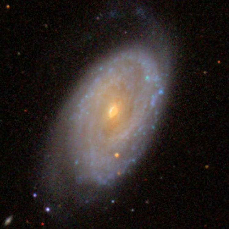 SDSS image of spiral galaxy NGC 470, often misidentified as part of Arp 227