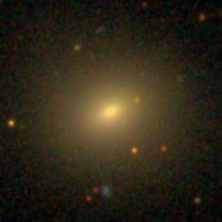 SDSS image of lenticular galaxy NGC 472, which is a duplicate entry for NGC 468