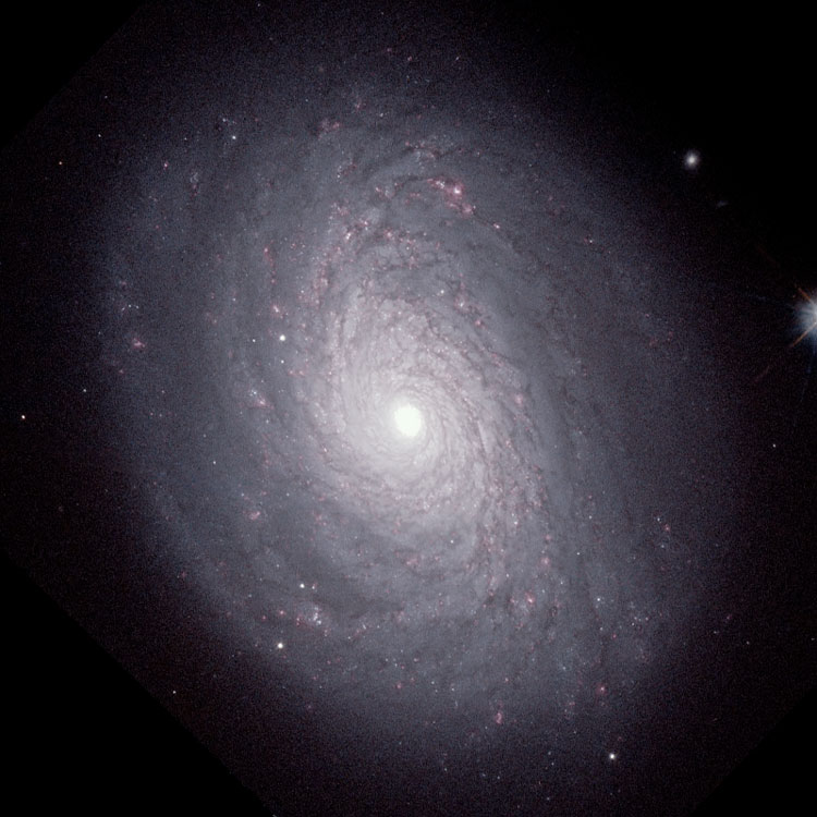 HST image of spiral galaxy NGC 4800