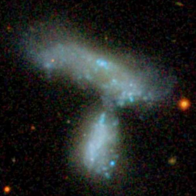 SDSS image of irregular galaxy NGC 4809 and its companion, irregular galaxy NGC 4810, which comprise Arp 277