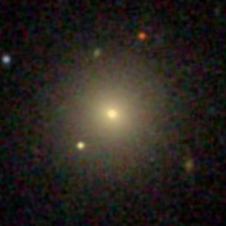 SDSS image of elliptical galaxy NGC 4817