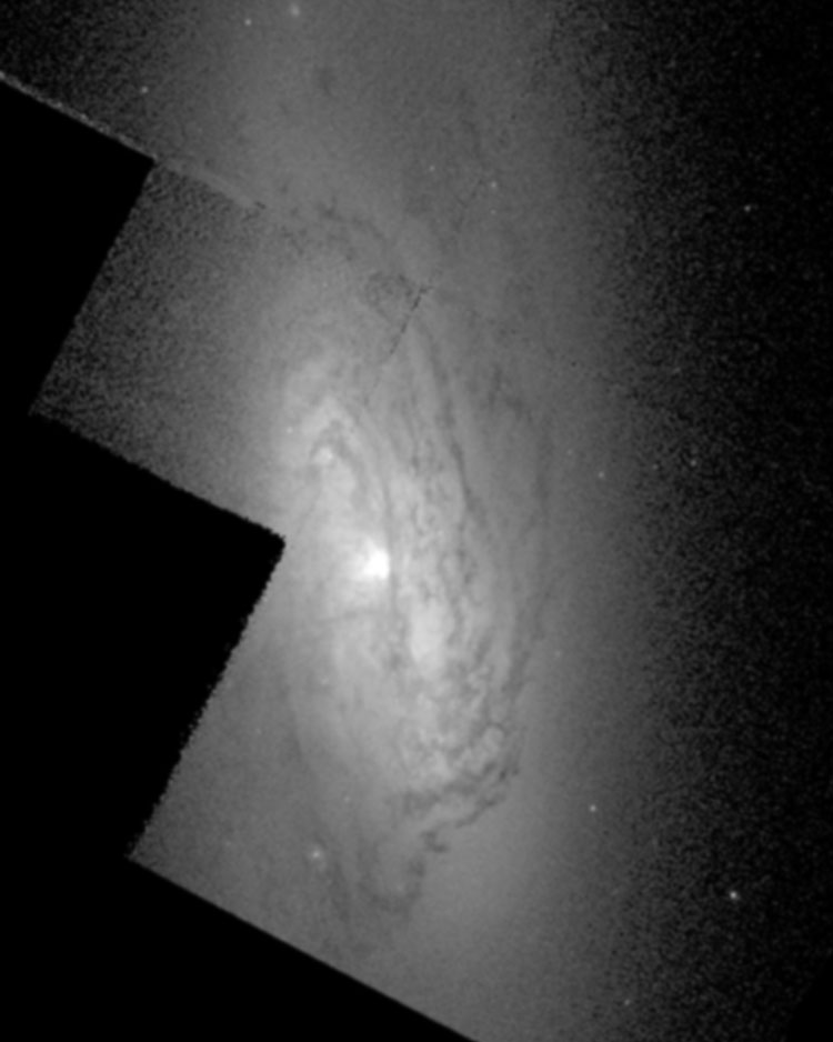 HST image of part of spiral galaxy NGC 4818