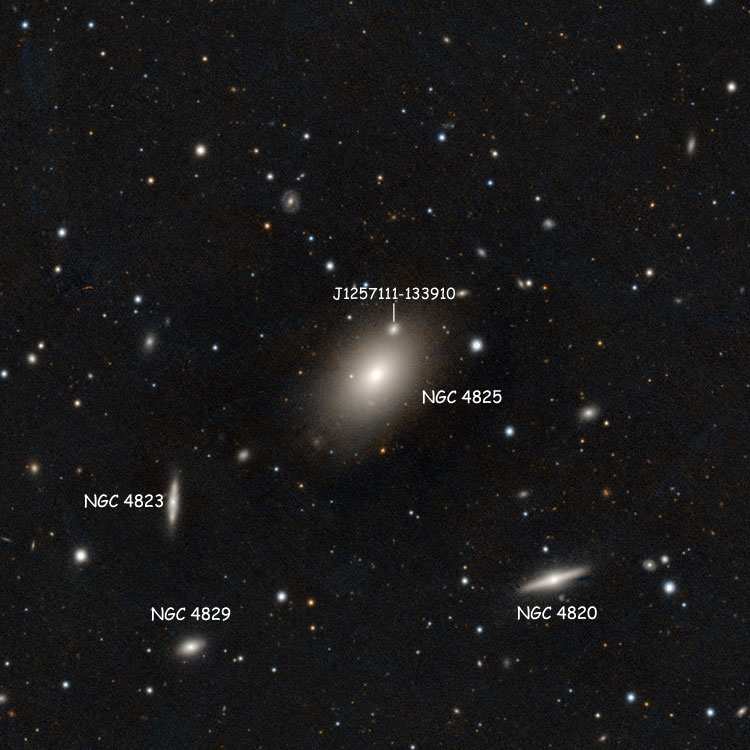 PanSTARRS image of region near lenticular galaxy NGC 4825, also showing its possible companion, J1257111-133910, and NGC 4820, NGC 4823 and NGC 4829