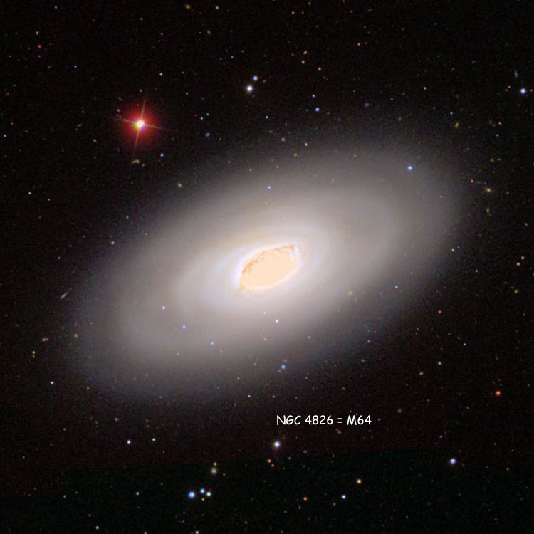 SDSS image of spiral galaxy NGC 4826, the Black Eye Galaxy, also known as M64