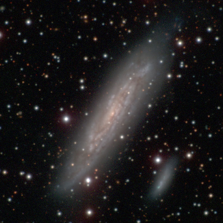 Carnegie-Irvine Galaxy Survey image of spiral galaxy NGC 4835, also showing its probable companion, PGC 516792