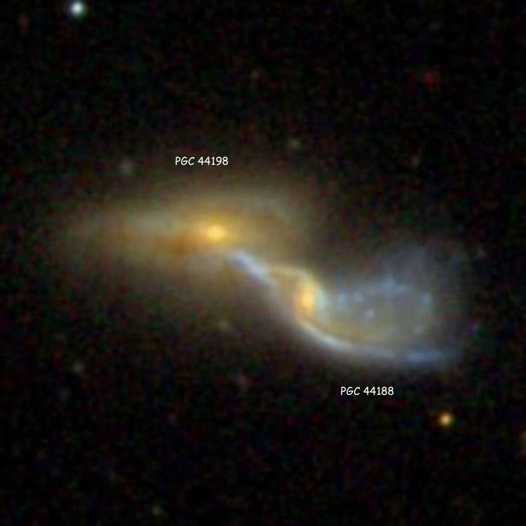 SDSS image of the pair of peculiar spiral galaxies, PGC 44188 and PGC 44198, whih probably comprise NGC 4837