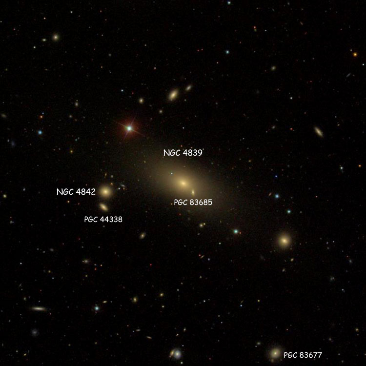 SDSS image of region near elliptical galaxy NGC 4839, also showing apparent companion galaxy PGC 83685; also shown are NGC 4842, PGC 44338 and PGC 83677, which is sometimes misidentified as NGC 4839